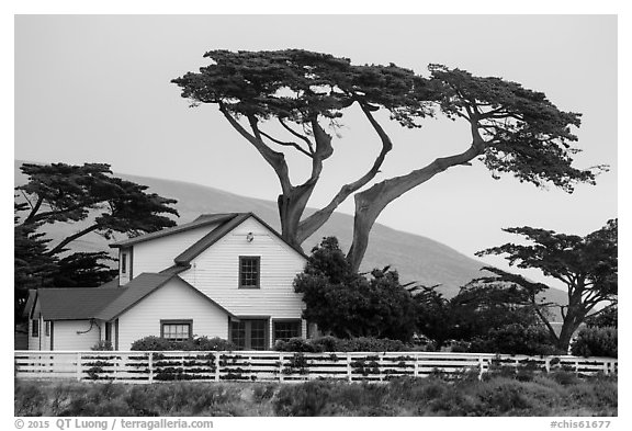 Historic Vail and Vickers main ranch house with cypress trees, Santa Rosa Island. Channel Islands National Park (black and white)