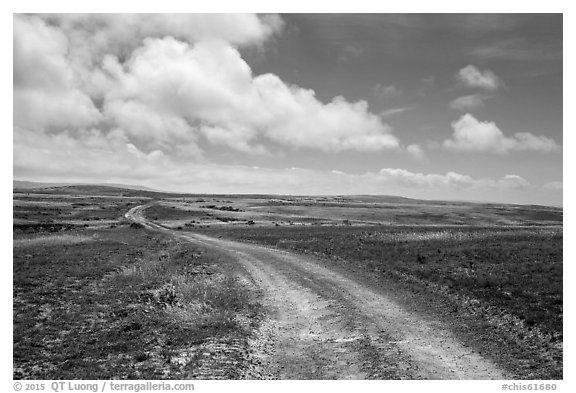 Road, Santa Rosa Island. Channel Islands National Park (black and white)