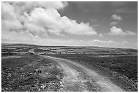 Road, Santa Rosa Island. Channel Islands National Park ( black and white)