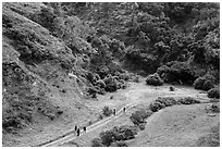Hikers at Lobo Canyon entrance, Santa Rosa Island. Channel Islands National Park ( black and white)