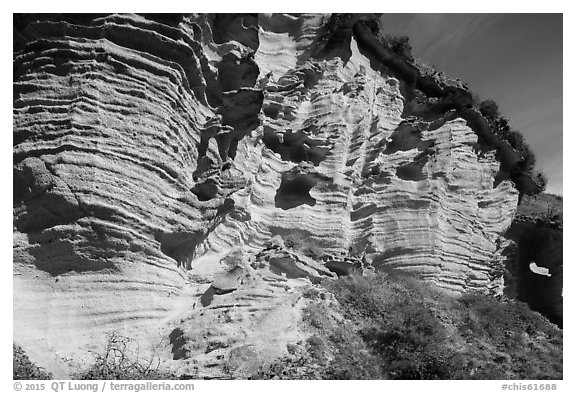 Sculptured cliffs, Lobo Canyon, Santa Rosa Island. Channel Islands National Park (black and white)