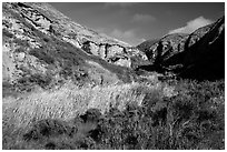 Riparian vegetation and cliffs, Lobo Canyon, Santa Rosa Island. Channel Islands National Park ( black and white)