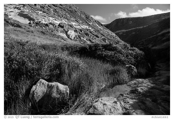 Year-round stream, Lobo Canyon, Santa Rosa Island. Channel Islands National Park (black and white)