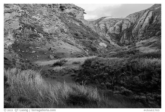 Lobo Canyon at sunset , Santa Rosa Island. Channel Islands National Park (black and white)