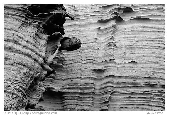 Detail of water-sculptured canyon wall, Lobo Canyon, Santa Rosa Island. Channel Islands National Park (black and white)