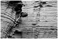 Detail of water-sculptured canyon wall, Lobo Canyon, Santa Rosa Island. Channel Islands National Park ( black and white)