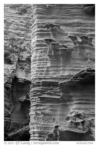 Water-sculptured sandstone wall, Lobo Canyon, Santa Rosa Island. Channel Islands National Park (black and white)