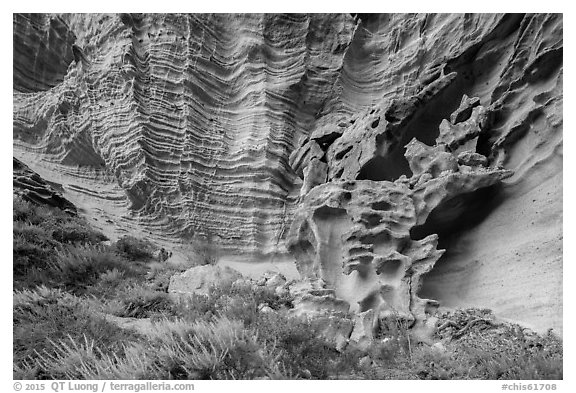 Water-sculpted sandstone cliffs, Lobo Canyon, Santa Rosa Island. Channel Islands National Park (black and white)