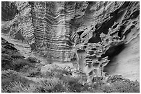 Water-sculpted sandstone cliffs, Lobo Canyon, Santa Rosa Island. Channel Islands National Park ( black and white)