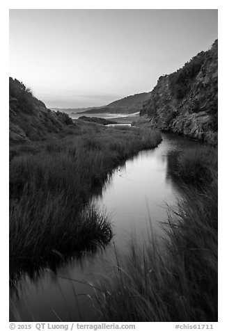 Wetland at he bottom of Water Canyon, and Ocean, sunrise, Santa Rosa Island. Channel Islands National Park (black and white)