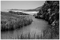 Stream at the mouth of Water Canyon, Santa Rosa Island. Channel Islands National Park ( black and white)