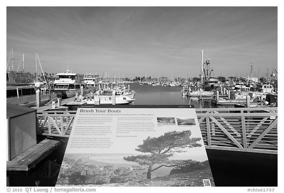 Invasive species interpretive sign, Ventura Harbor. Channel Islands National Park (black and white)