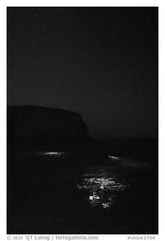 Night diving with lights, Santa Barbara Island. Channel Islands National Park (black and white)