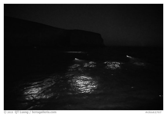Underwater lights from divers, Santa Barbara Island. Channel Islands National Park (black and white)