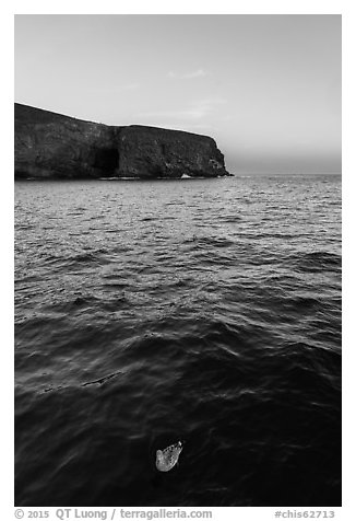 Seabird and Arch Point at dawn, Santa Barbara Island. Channel Islands National Park (black and white)