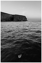Seabird and Arch Point at dawn, Santa Barbara Island. Channel Islands National Park ( black and white)