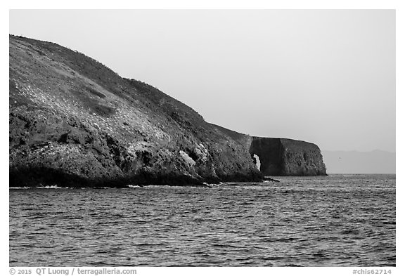 Arch Point at sunrise, Santa Barbara Island. Channel Islands National Park (black and white)