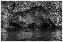 Multiple sea caves entrances, Santa Cruz Island. Channel Islands National Park ( black and white)