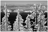 Trees with hoar frost above  Lake. Crater Lake National Park, Oregon, USA. (black and white)