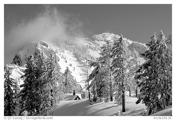 Trees, cabin, and Mt Garfield in winter. Crater Lake National Park (black and white)
