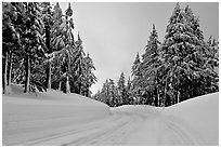 Snow-covered road. Crater Lake National Park, Oregon, USA. (black and white)