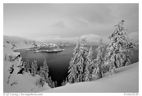 Wizard Island and Lake at dusk, framed by snow-covered trees. Crater Lake National Park, Oregon, USA.