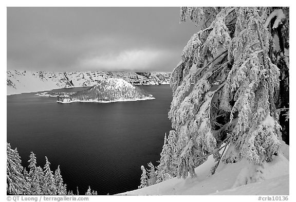 Trees and Wizard Island in winter with clouds and dark waters. Crater Lake National Park (black and white)