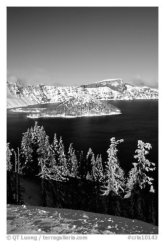Trees, Wizard Island, and Lake in winter, afternoon. Crater Lake National Park, Oregon, USA.