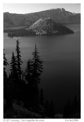 Conifer trees, Lake and Wizard Island. Crater Lake National Park (black and white)