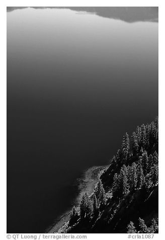 Trees and blue lake waters. Crater Lake National Park (black and white)