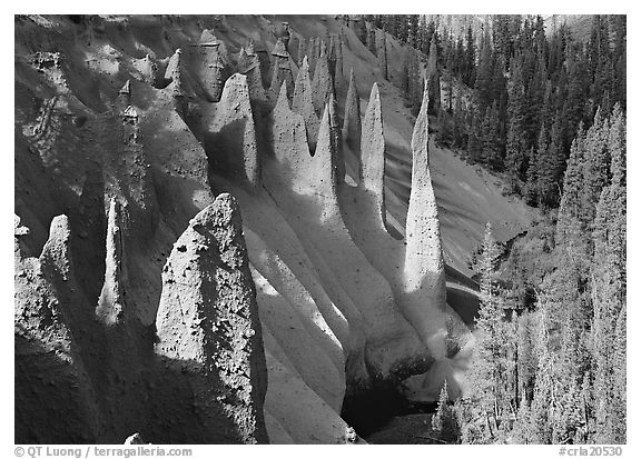 Pinnacles rising from Sand Creek Canyon. Crater Lake National Park (black and white)