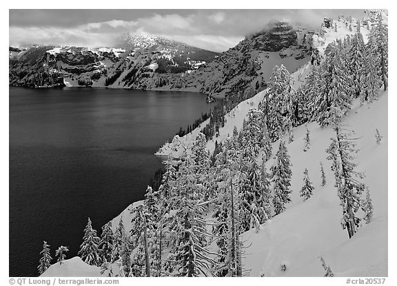 Snowy trees and slopes. Crater Lake National Park (black and white)