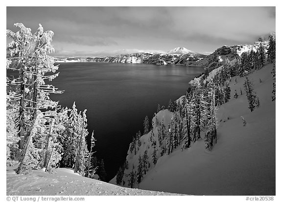 Snow-covered trees and dark lake waters. Crater Lake National Park, Oregon, USA.