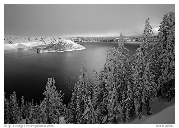 Conifers, Lake and Wizard Island, winter sunrise. Crater Lake National Park (black and white)