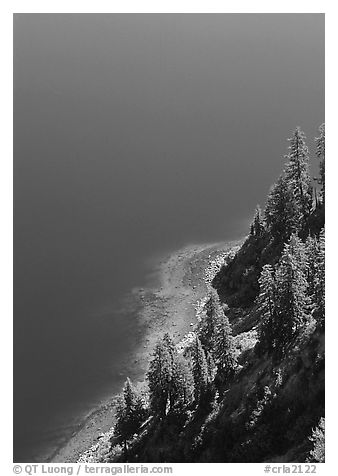 Pine trees and blue waters. Crater Lake National Park (black and white)