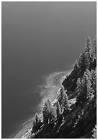 Pine trees and blue waters. Crater Lake National Park ( black and white)