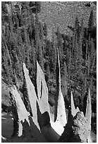 Needle-like formations of rock. Crater Lake National Park ( black and white)