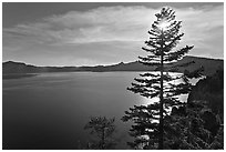 Lake and sun shining through pine tree, afternoon. Crater Lake National Park ( black and white)