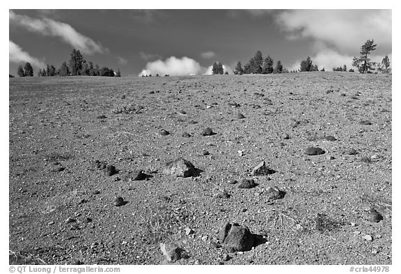 Pumice plain. Crater Lake National Park (black and white)