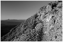 Mount Scott trail. Crater Lake National Park ( black and white)