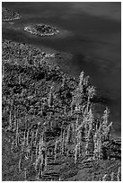 Volcanic shore of Wizard Island seen above. Crater Lake National Park ( black and white)
