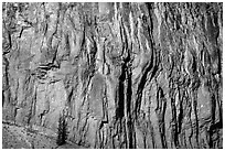 Cliff detail. Crater Lake National Park ( black and white)