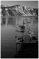 Water Level recording gauge tower, Cleetwood Cove. Crater Lake National Park ( black and white)