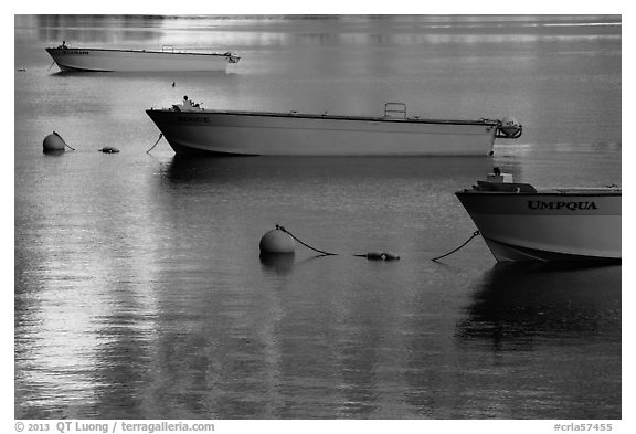 Tour boats and golden reflections, Cleetwood Cove. Crater Lake National Park (black and white)