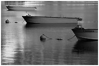 Tour boats and golden reflections, Cleetwood Cove. Crater Lake National Park ( black and white)