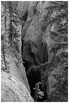 Deep gorge of Munson Creek. Crater Lake National Park ( black and white)