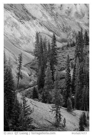 Junction of Munson Creek and Annie Creek at Godfrey Glen. Crater Lake National Park (black and white)