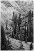 Junction of Munson Creek and Annie Creek at Godfrey Glen. Crater Lake National Park ( black and white)