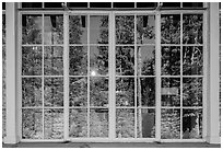 Forest, Steel Visitor Center window reflexion. Crater Lake National Park ( black and white)