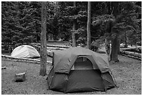 Mazama Village campground. Crater Lake National Park ( black and white)